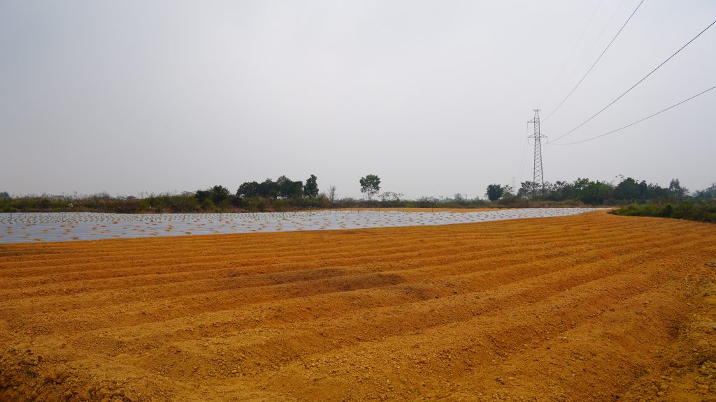 Chọn vùng & giống cây trồng