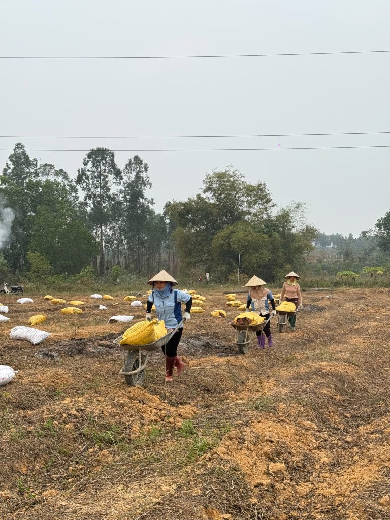 Làm đất & chuẩn bị ruộng