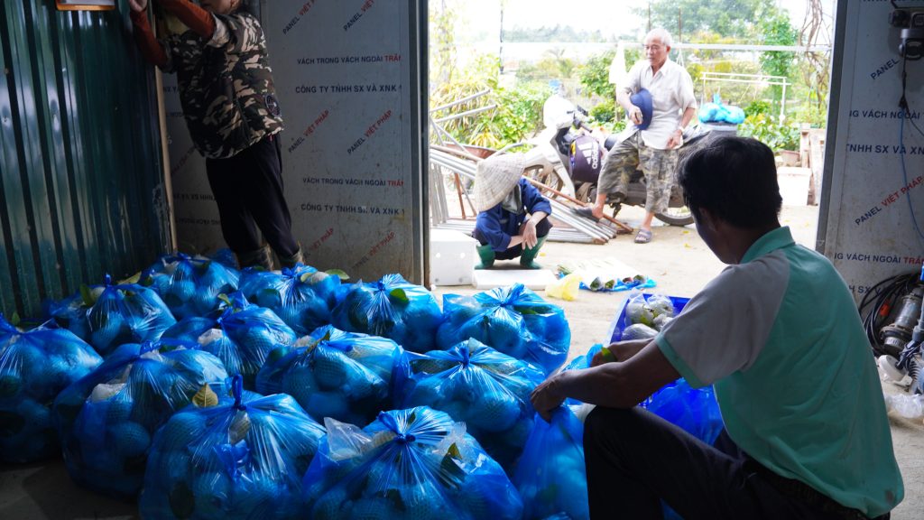 Đóng túi từ 10-15kg rồi bảo