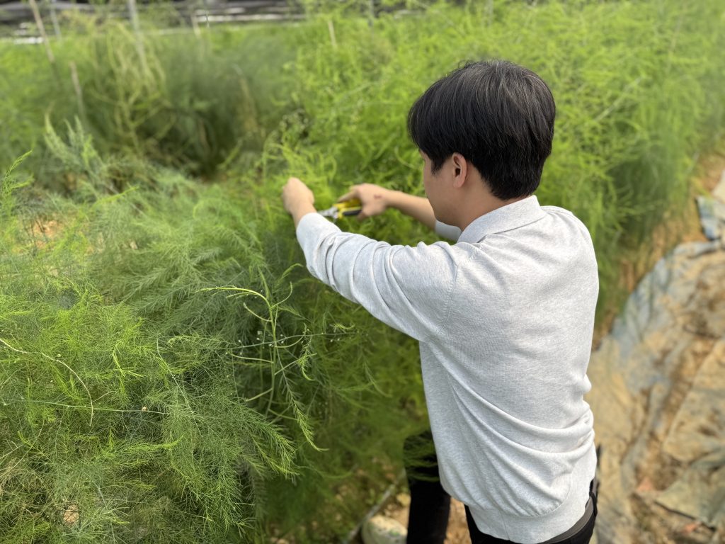 Theo dõi sâu bệnh