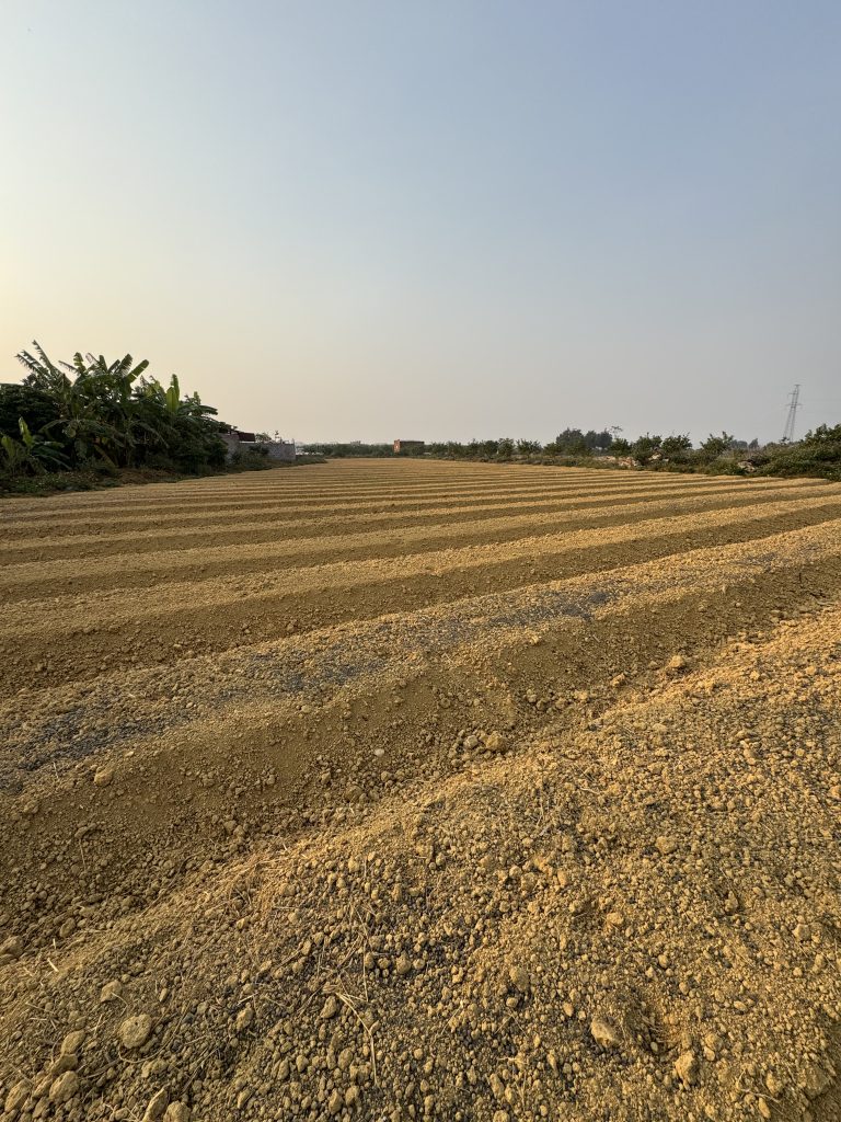 Chọn vùng & giống cây trồng