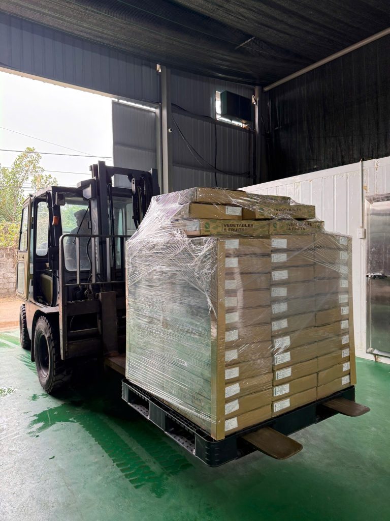 Đóng cont & bàn giao logistic