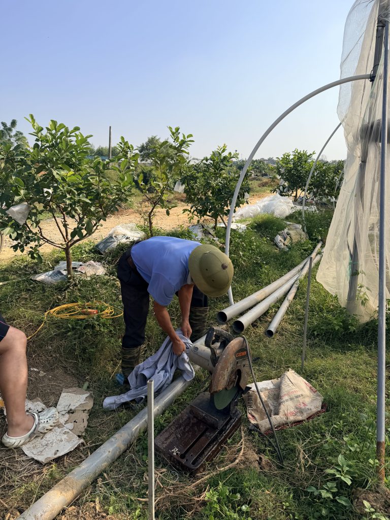 Lắp đặt hệ thống